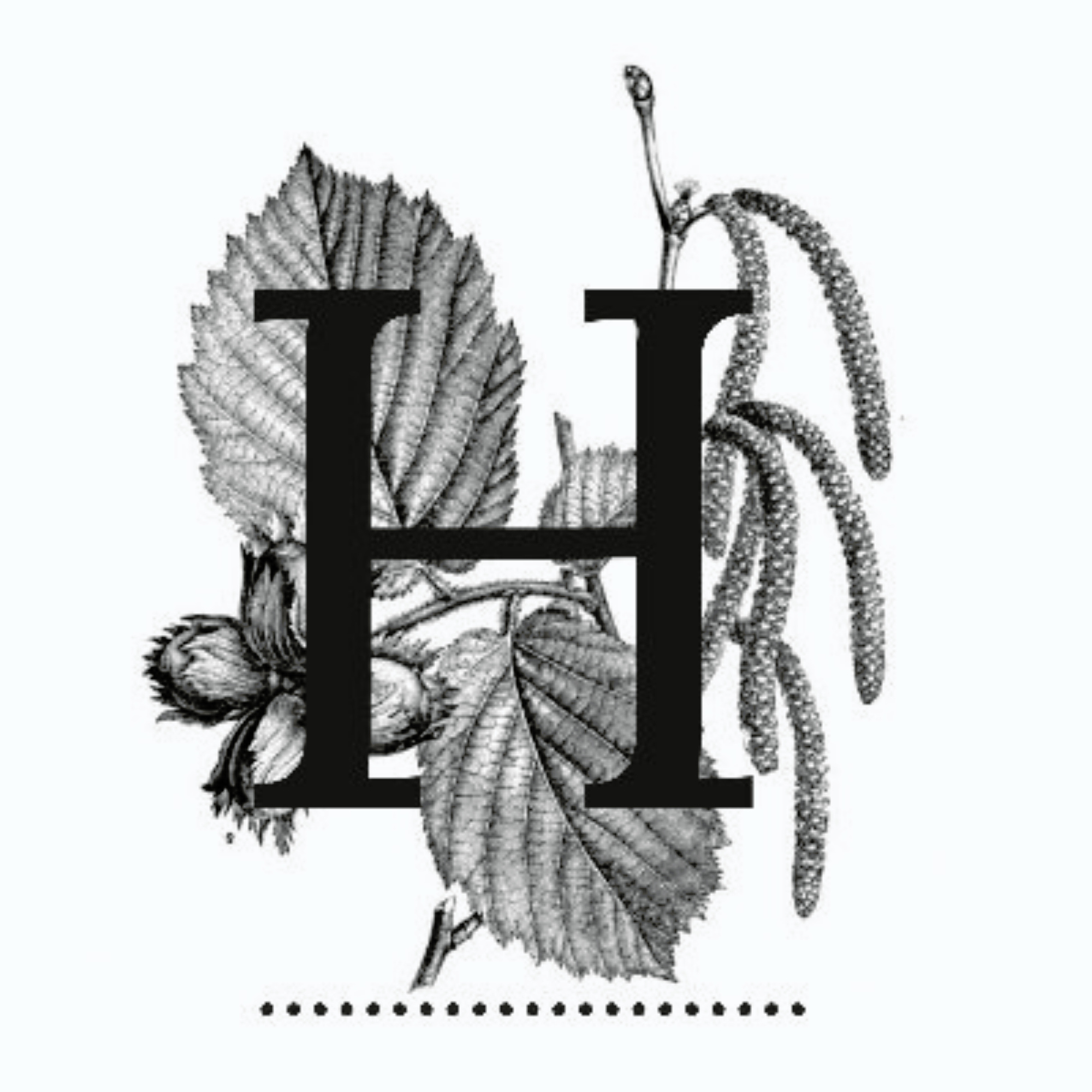 Hazel Press Launch