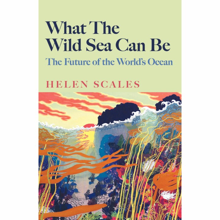 Helen Scales - What the Wild Sea Can Be