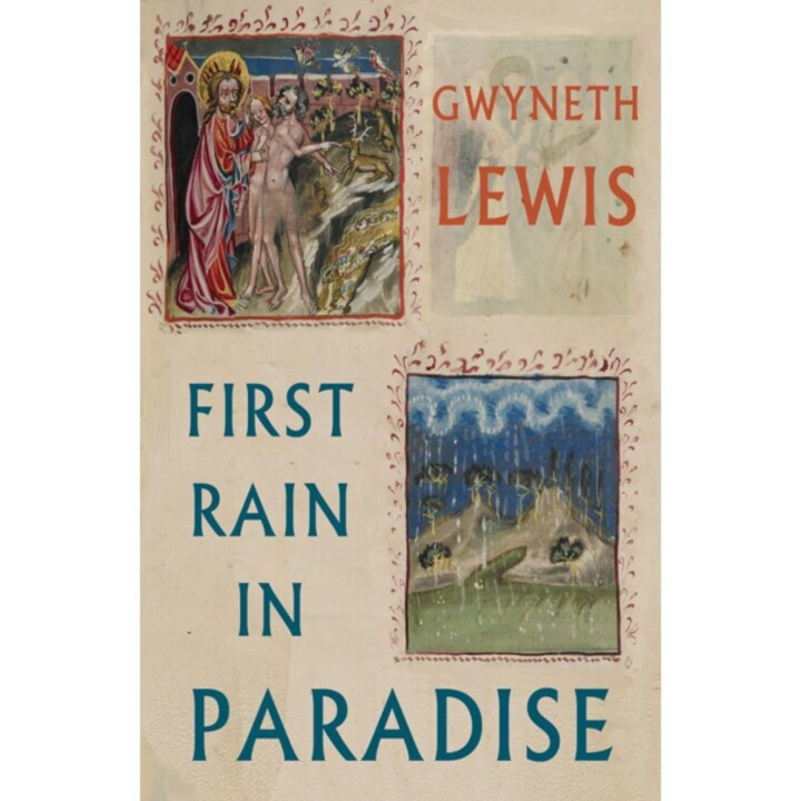 Gwyneth Lewis book
