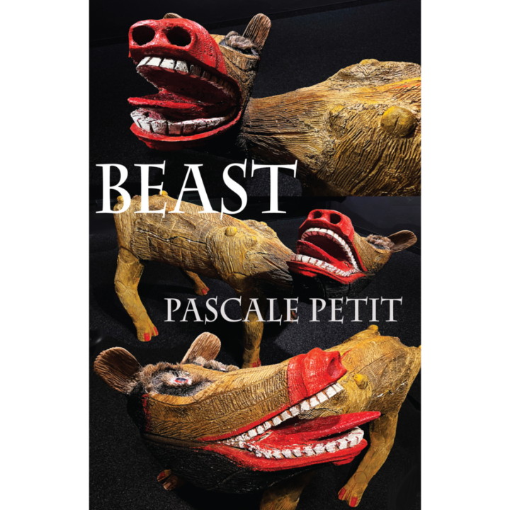 Pascale Petit book