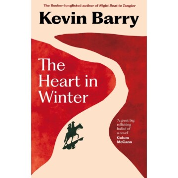 Kevin Barry book