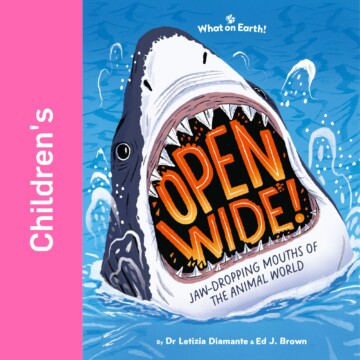 Letizia Diamente book