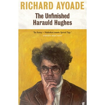 Richard Ayoade book