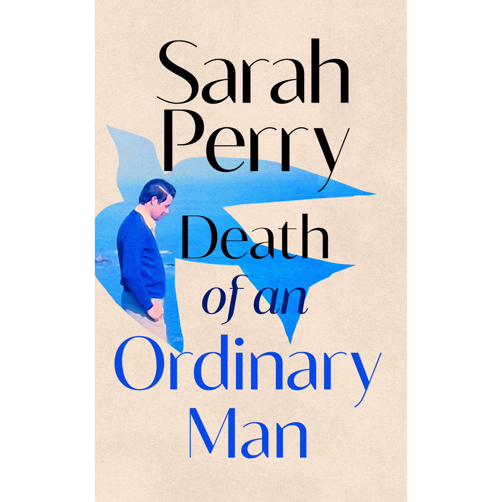 Death of an Ordinary Man book cover