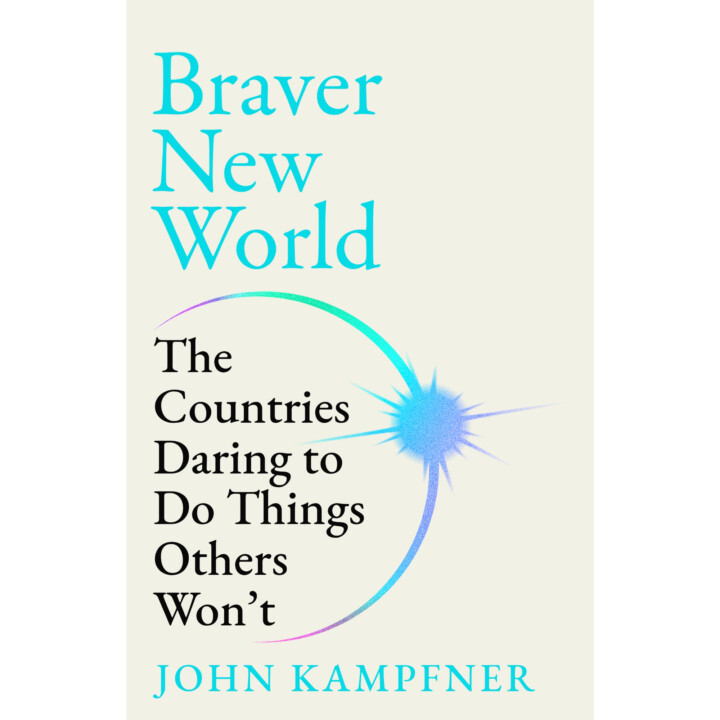 Braver New World book cover