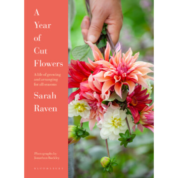 Book cover of A Year of Cut Flowers